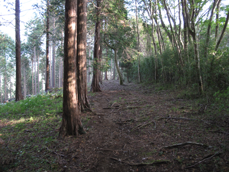 20181025hike (294)